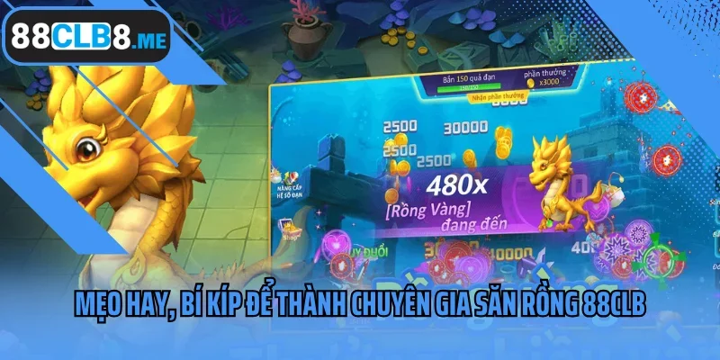 Mẹo hay, bí kíp để thành Chuyên Gia Săn Rồng 88CLB